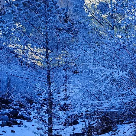 شقة Vistas Unicas A Ordesa Y Monteperdido - Piscinas - Barbacoa
